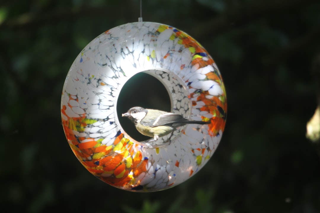 Voetproblemen en klachten door tibialis anterior pijn: wat kun je doen?