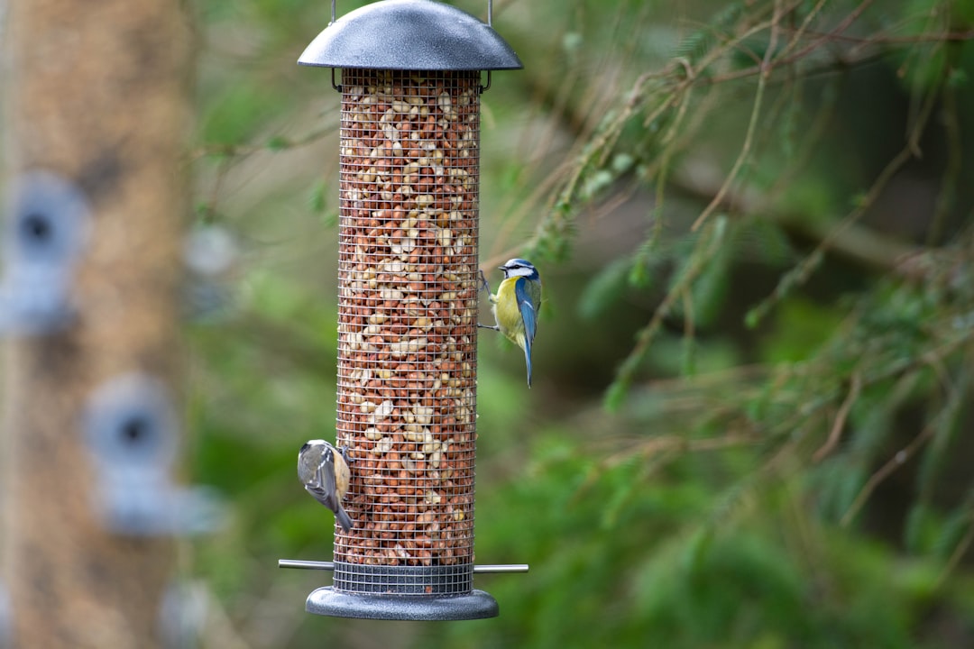 Pijn onder de voorvoet: veelvoorkomende klacht met grote impact