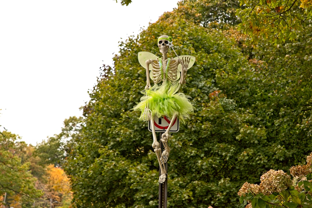 De bijzondere bouw van het menselijk skelet