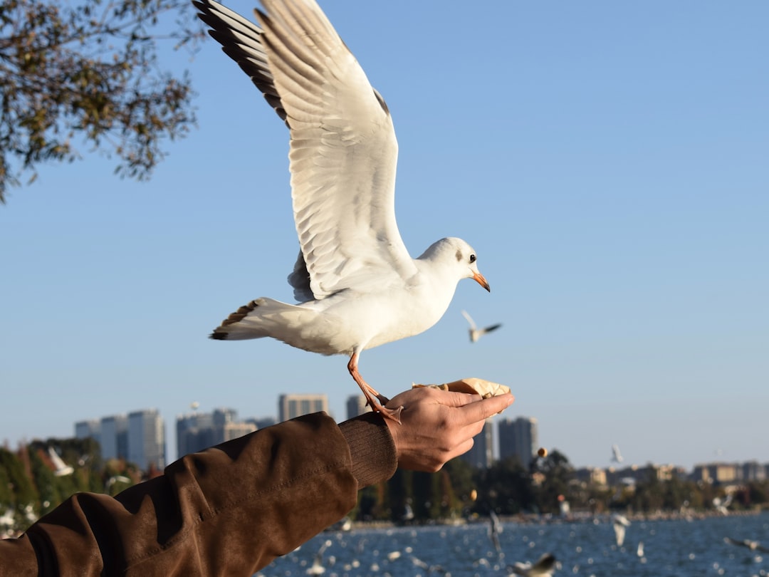Pijn onder de grote teen: alles over sesambeentjes en voetproblemen