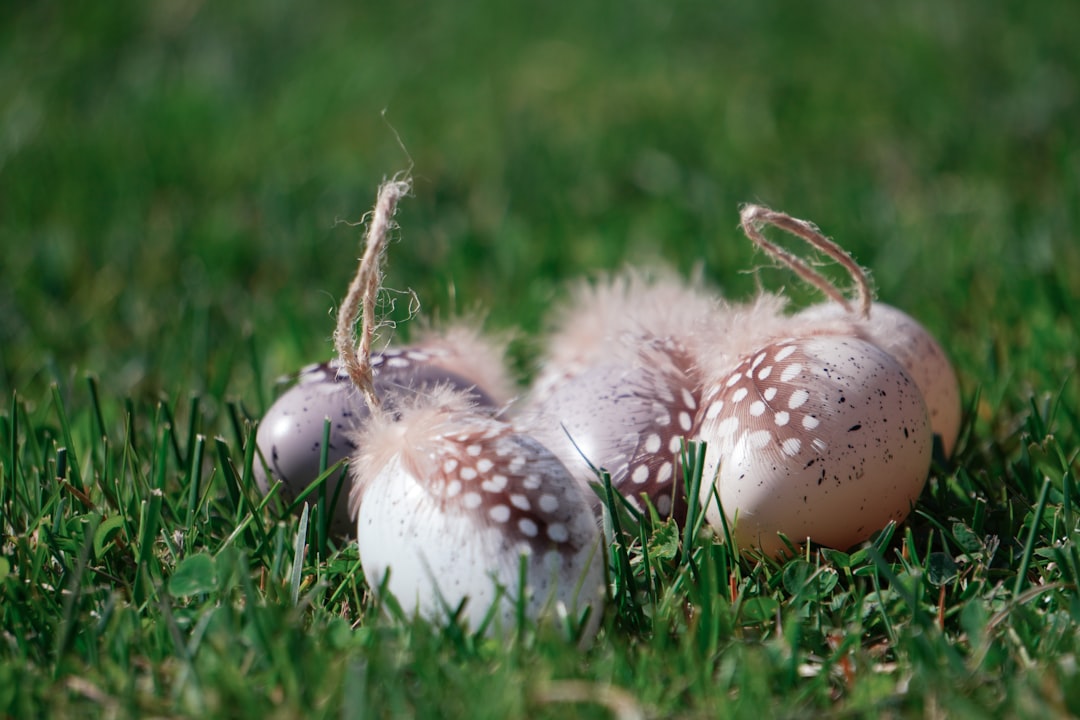 Hoeveel eieren per week passen bij een gezond eetpatroon