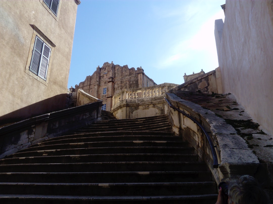 Afvallen met wandelen: hoeveel stappen per dag heb je nodig?