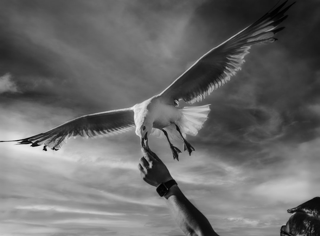 Pijn in de voorvoet: oorzaken, klachten en oplossingen voor gezonde voeten